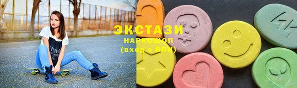 твердый Краснослободск