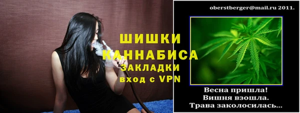 твердый Краснослободск