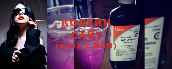 твердый Краснослободск