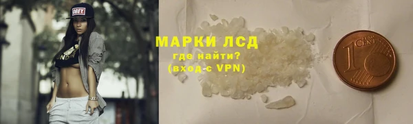 твердый Краснослободск