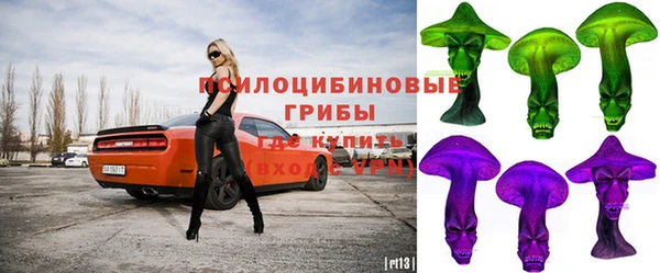 твердый Краснослободск