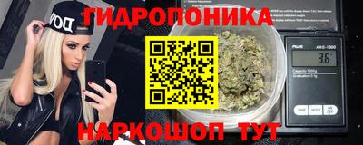 Альфа ПВП Беслан