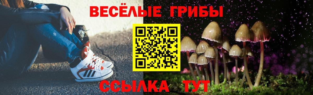 Псилоцибиновые грибы Psilocybine cubensis Каменск-Уральский